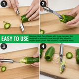 Multi-functional Stainless Steel Seed Remover