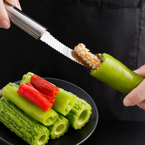 Multi-functional Stainless Steel Seed Remover