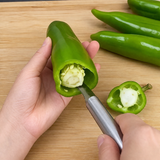 Multi-functional Stainless Steel Seed Remover